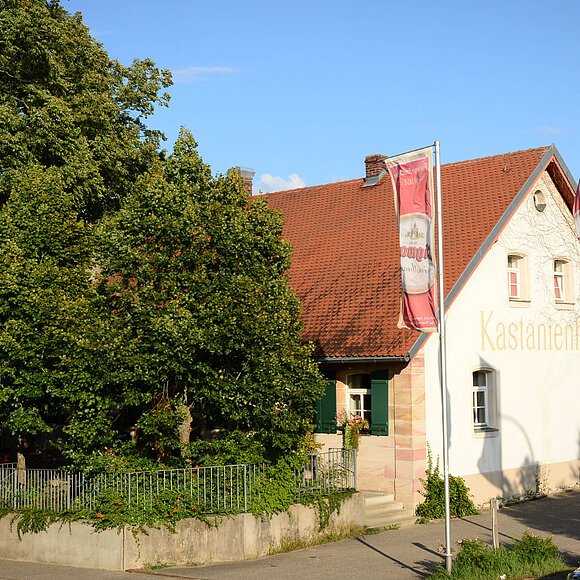 Eine Ansammlung an grünen Bäumen. Rechts daneben die Front eines Hauses mit weißer Fassade mit roten Dachziegeln. Auf der Fassade steht Kastanienhof. Vor dem Haus sind am Gehweg zwei große Fahnenmasten mit roten Fahnen plaziert.