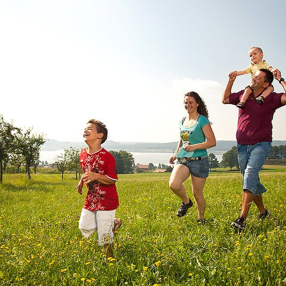 In Enderndorf am Brombachsee toben zwei ELtern mit ihren zwei Kindern auf einer grün bewachsenden Wiese. Im Hintergrund kann man einen Blick auf den Brombachsee erhaschen.