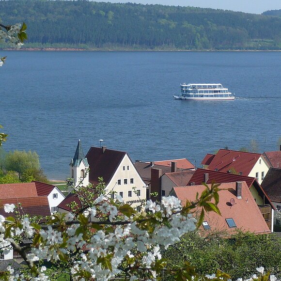 MS Brombachsee mit Kirschblüte