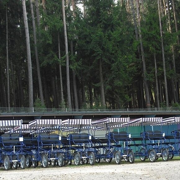 Sechs Rikschas stehen in einer Reihe auf einem Schotterplatz. Im Hintergund Wald.