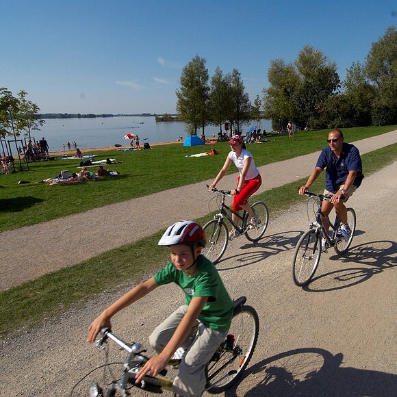 Radeln am Altmühlsee Drei Radfahrer radeln auf einem Fahrradweg am See. Im Hintergund der See mit Sandstrand umgeben von Bäumen.
