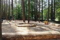Waldcamping Brombach Spielplatz im Wald mit Sandboden, umgeben von Bäumen. Zwei Wipptiere sind im Sand zu sehen.