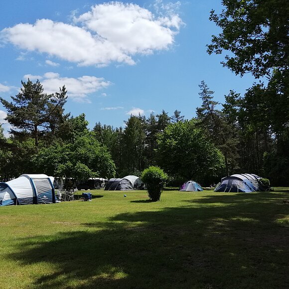 Waldcamping Brombach Zelte auf einer Wiese, umgeben von Bäumen und blauem Himmel mit wenigen Wolken.