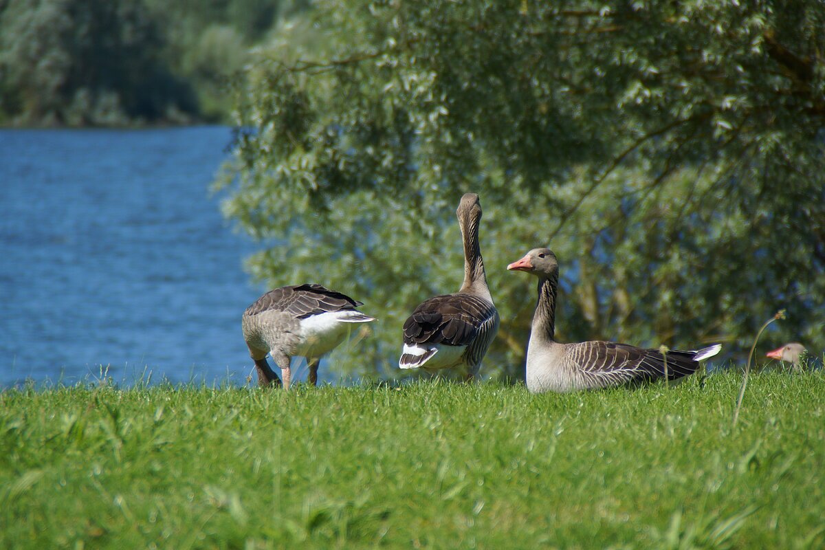 Foto: Zoellich / ZVB
